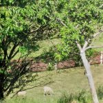 phoca_thumb_m_za zvtky 17 Fotogalerie